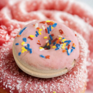 Pink donut with colorful sprinkles on a pink background