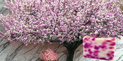 Asian Tea Blossom